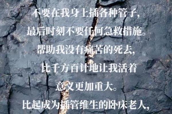 堪堪废命：探寻生命的意义与价值
