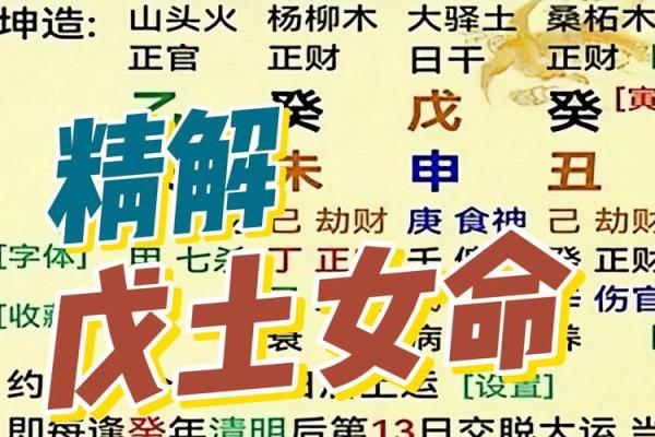 路旁土命女的命理配置与人生方向探究