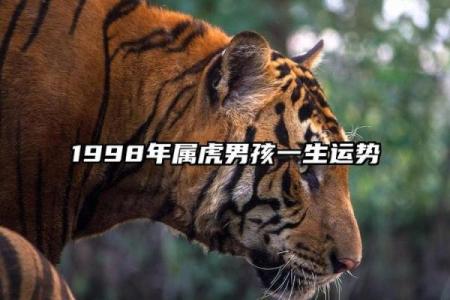 明年三月出生的虎宝宝命运解读：运势、个性与未来发展