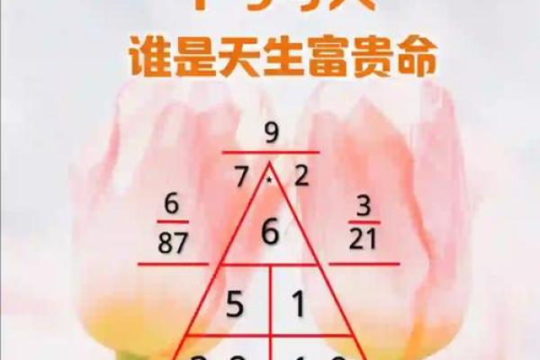 揭秘你的命运：看看你是什么命，富贵命与否！
