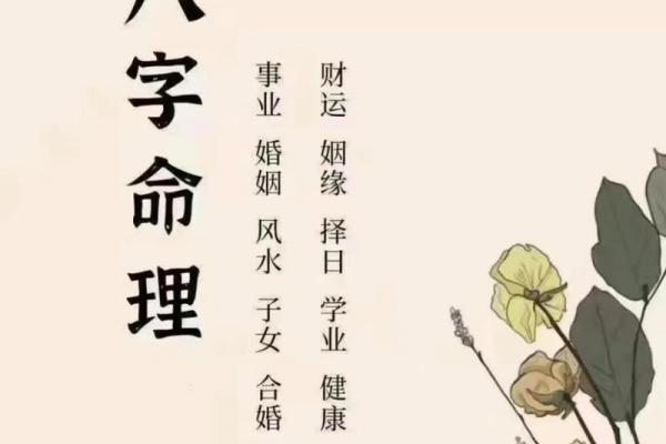 木命人缺什么？探秘五行命理与木命的幸福密码！