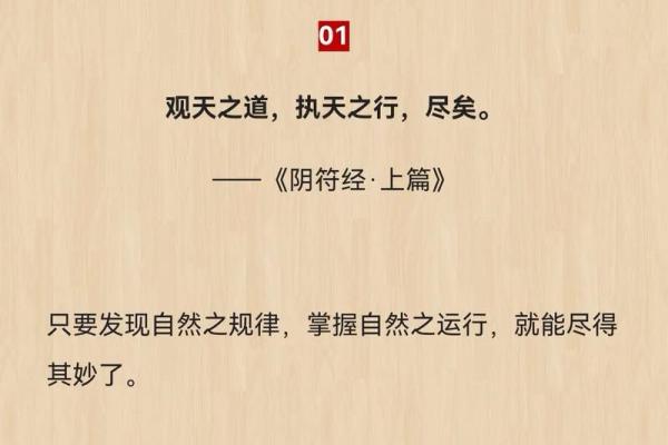 揭示罗候星照命的奥秘：命理与人生的深刻联系