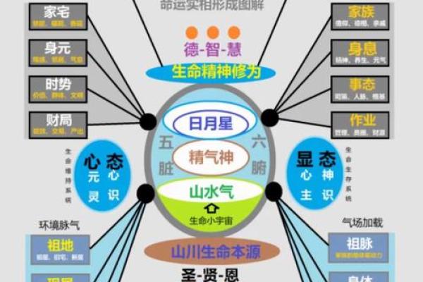 九三年出生的小朋友：命运与机遇的交织