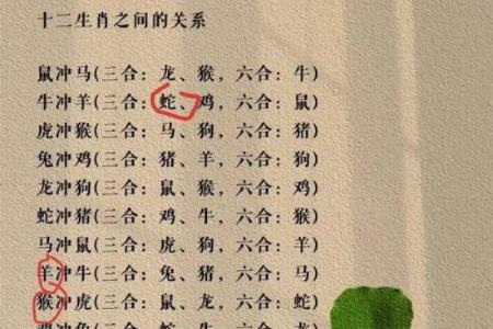 赖岁属牛，人生命理与性格特征探秘
