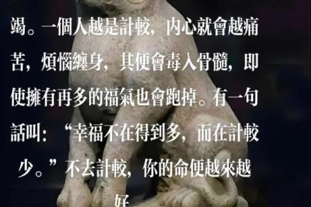 命不违命：取于命的深层意义与人生启示