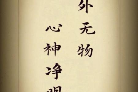 命不与命争：平和面对生活中的起伏与挑战