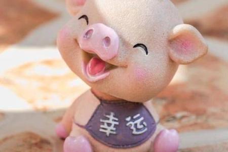 腊月二十四出生的属猪命，生活的哲学与命运的解读