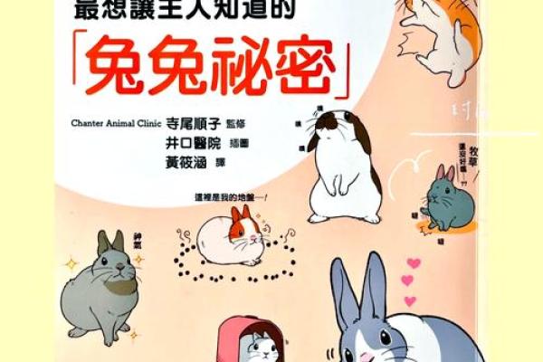 九月之兔：如何利用兔子的特性迎接美好生活