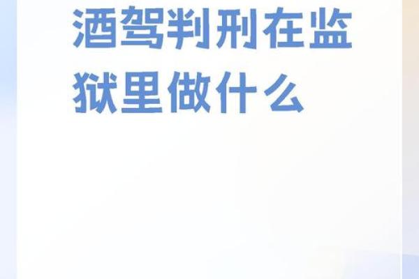 酒驾既命想拒捕，生肖中的警示与思考