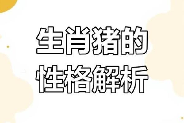九月的猪：了解属猪男孩的命理特征与个人魅力