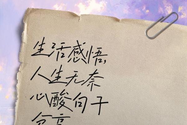 劳命奔波，命凄凉：在繁忙生活中的无奈与思考