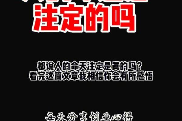 “命辣”到底指的是什么？探索现代生活中的命运与挑战！