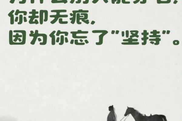 命与运：探寻人生轨迹的奥秘与智慧