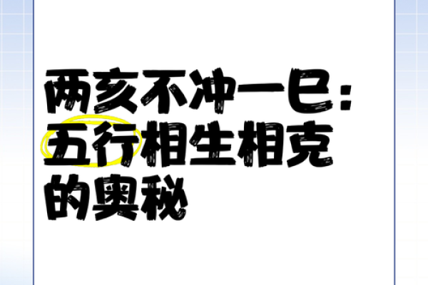 丁亥命的独特魅力：探秘生肖、五行与命运的交织