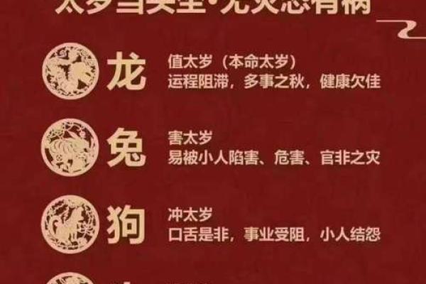 命强与命弱的解读：如何看待人生的运势起伏