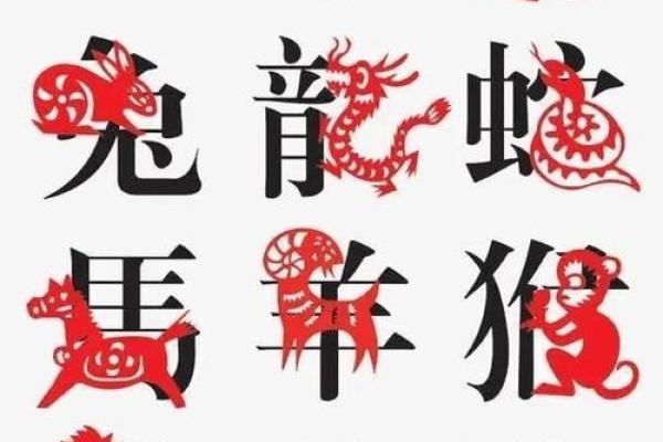 九月猴宝宝的命理解析：聪慧灵动，未来无限可能！
