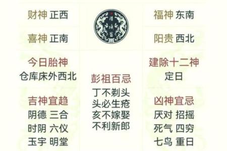 揭秘葵已年的五行属命，探索其神秘内涵与人生运势！