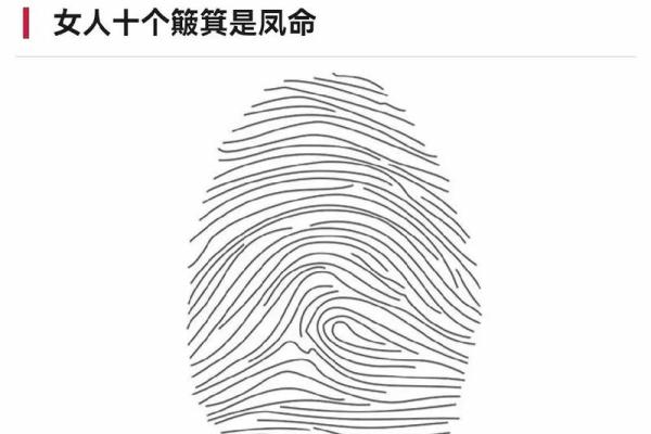 看手指头有几个斗，命运背后的秘密与启示
