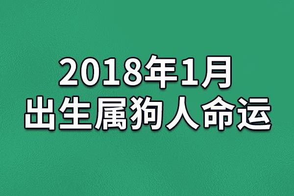 腊月属狗女孩的命运解析：智慧与奋斗的完美结合