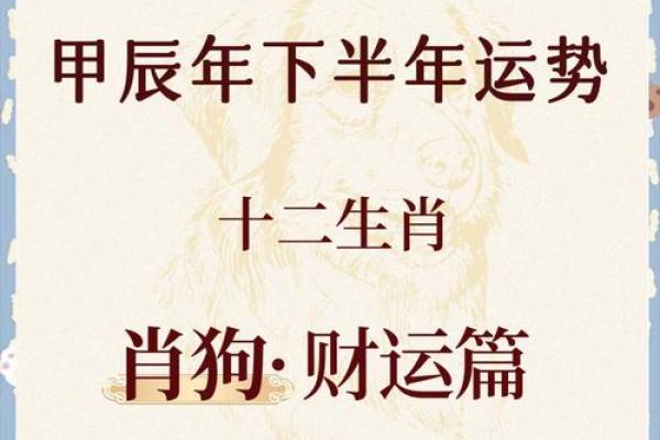 腊月属狗女孩的命运解析：智慧与奋斗的完美结合