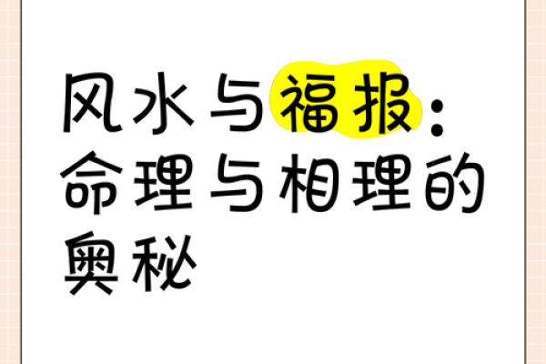 解析1997年2月19日的命理之道，揭示生活的奥秘与智慧