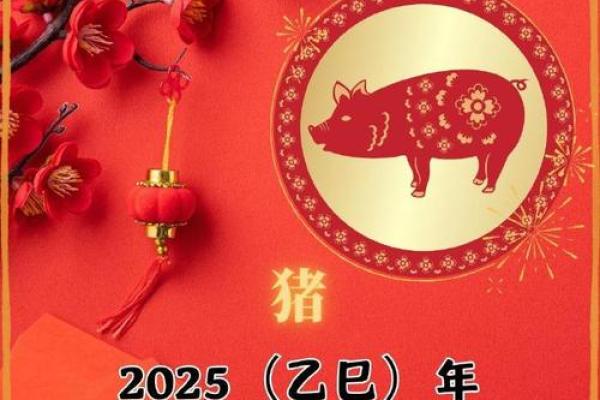 九五年属猪的命运：风雨兼程，勇往直前的生命之旅