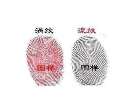 看手指头有几个斗，命运背后的秘密与启示