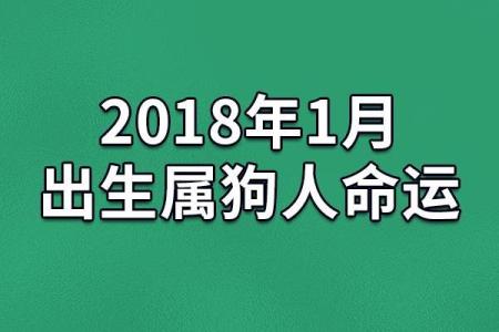 腊月属狗女孩的命运解析：智慧与奋斗的完美结合