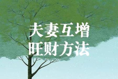 兰花命与其它命理能否携手共度一生？探索夫妻相合之道