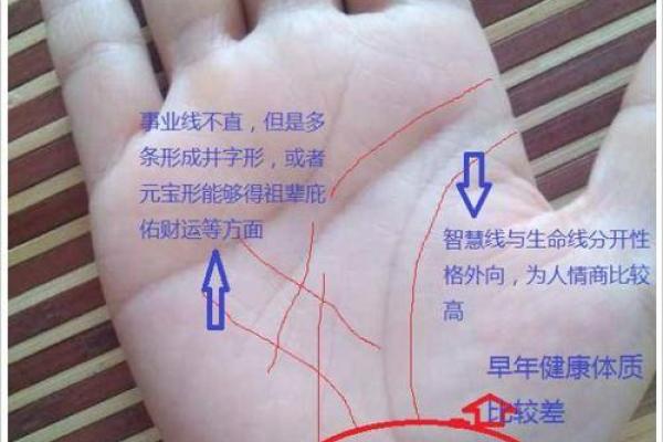 解读命理中的枭官劫：命运的三大关键因素