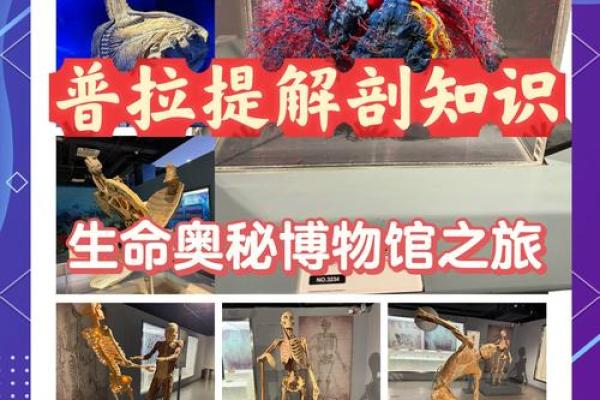 命名鸟：观察自然与探索生命的奇妙之旅