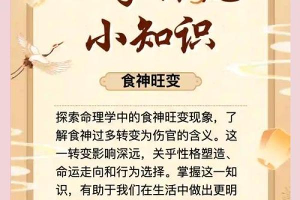 男命日坐食神，如何解读其命运与人生智慧？