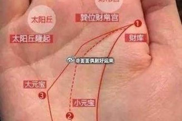 看手相两手的命运解析：你是富贵之人还是平凡之辈？