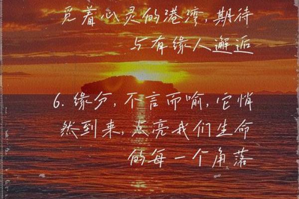 命是缘，缘是命：探寻人生的深意与音乐的共鸣