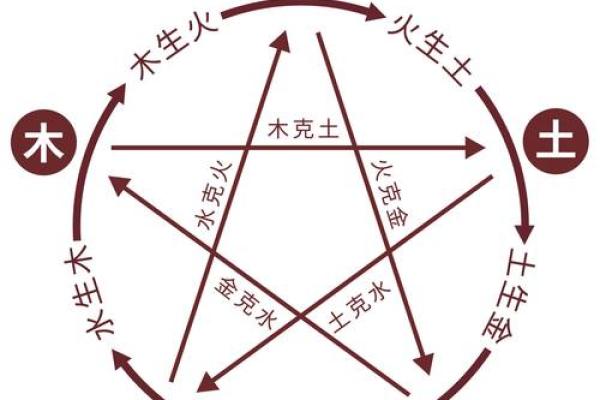 木命之人如何选择适合的孩子命理建议