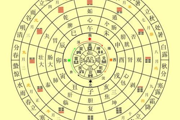 解密刘氏天运：五行属相与命理的深刻联系