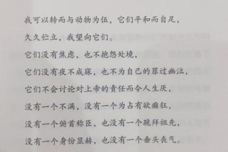 揭秘“公主命”的命理学：打破传统思维，找到属于你的幸福之路！