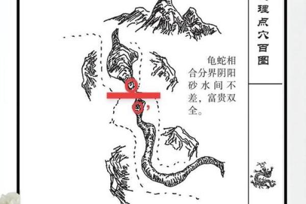 腊月生蛇命解析：神秘与机遇共存的命理探讨