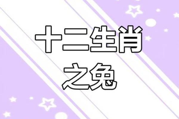 揭秘九月兔宝宝的神秘命运星辰：运势璀璨，魅力四射！