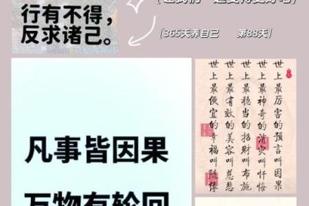 劳苦奔波之命：因果法则揭示生命的真相与智慧