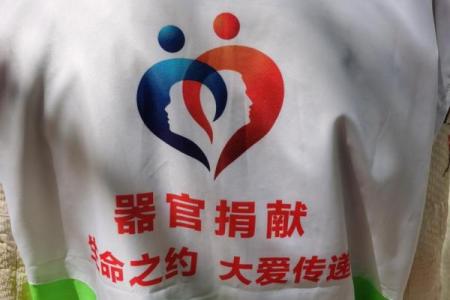 捐款者的命运：善心与财富的交织