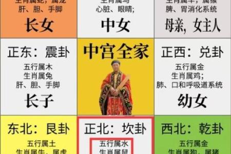 腊月出生的女鼠命运解析：智慧与机遇并存的生命旅程