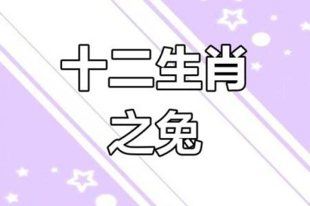揭秘九月兔宝宝的神秘命运星辰：运势璀璨，魅力四射！