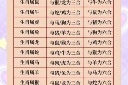 揭秘龙命理：属龙男性的命理解析与人生方向