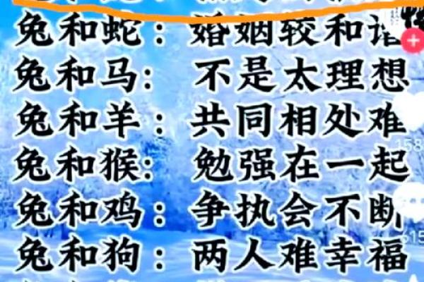 腊月兔子命理解析：揭秘兔年的运势与性格特点