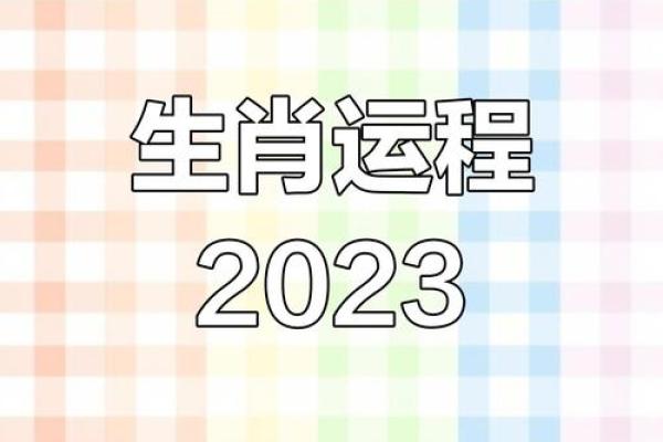 腊月兔子命理解析：揭秘兔年的运势与性格特点