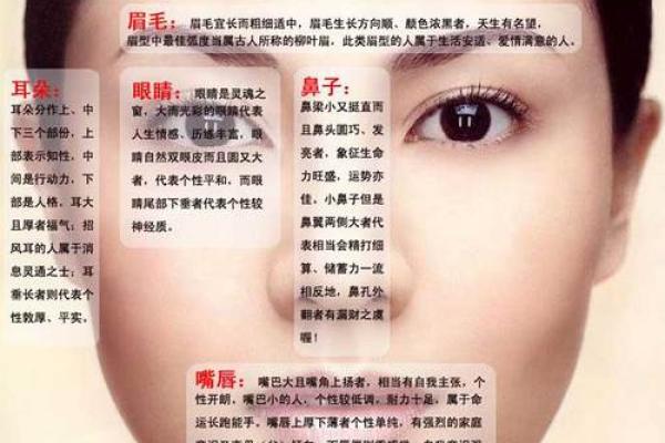 木旺缺土：探秘木旺命人的生活与性格特征