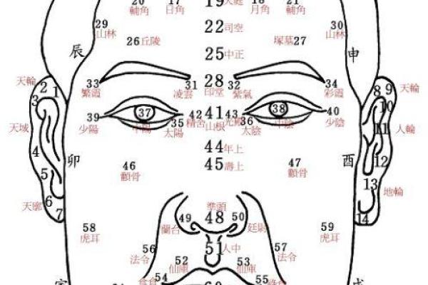 男没有鼻梁是什么命格？探秘独特的面相与性格关系！