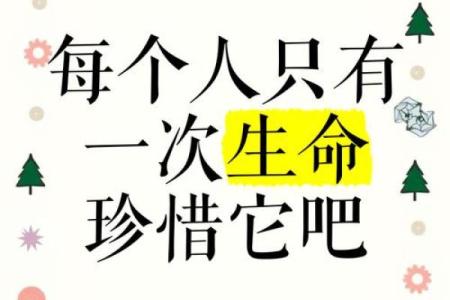 救命的命：我们生命中的那一份珍贵与希望