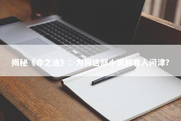 揭秘《命之途》：为何这部小说鲜有人问津？